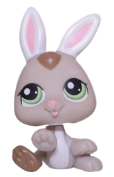 #1334 Baby Rabbit